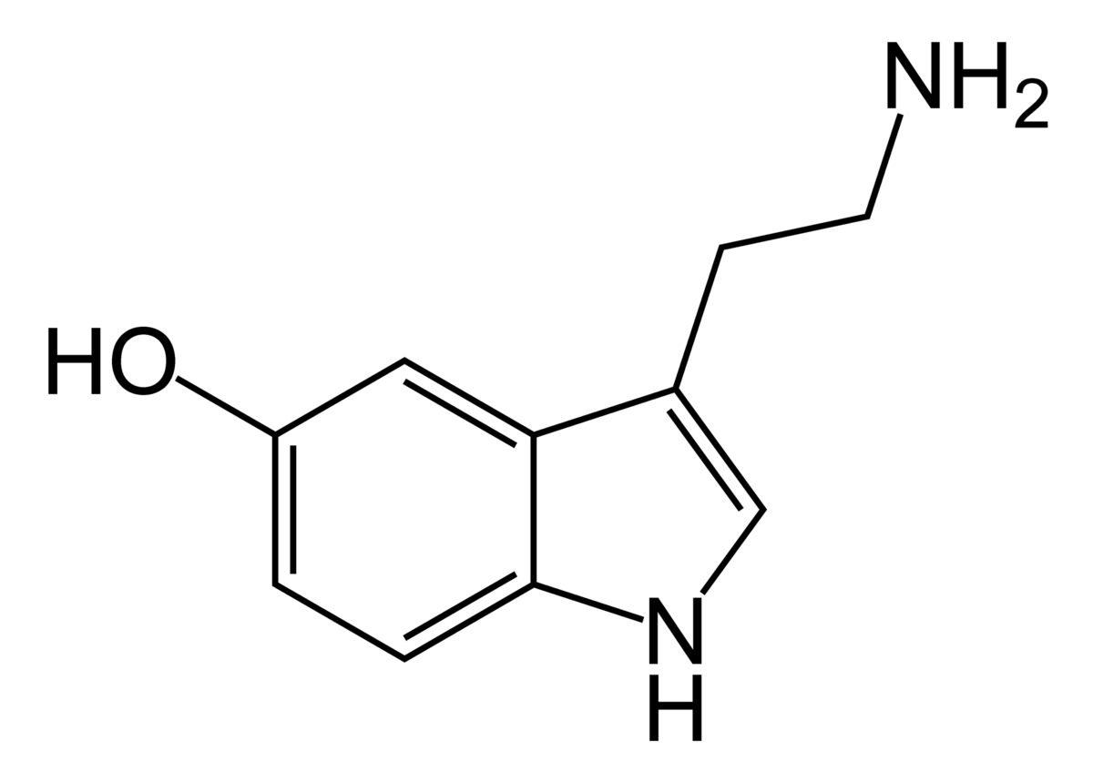 Serotonin-skeletal