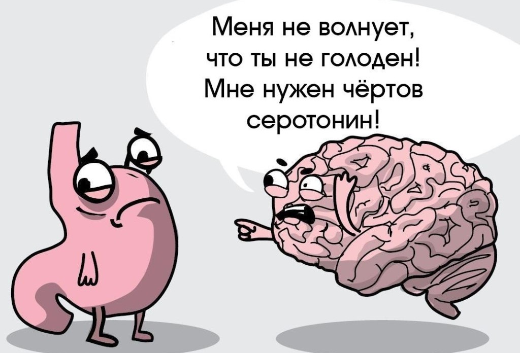 spor mozga s zheludkom